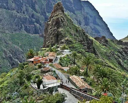 Caleta Soul Lejlighed